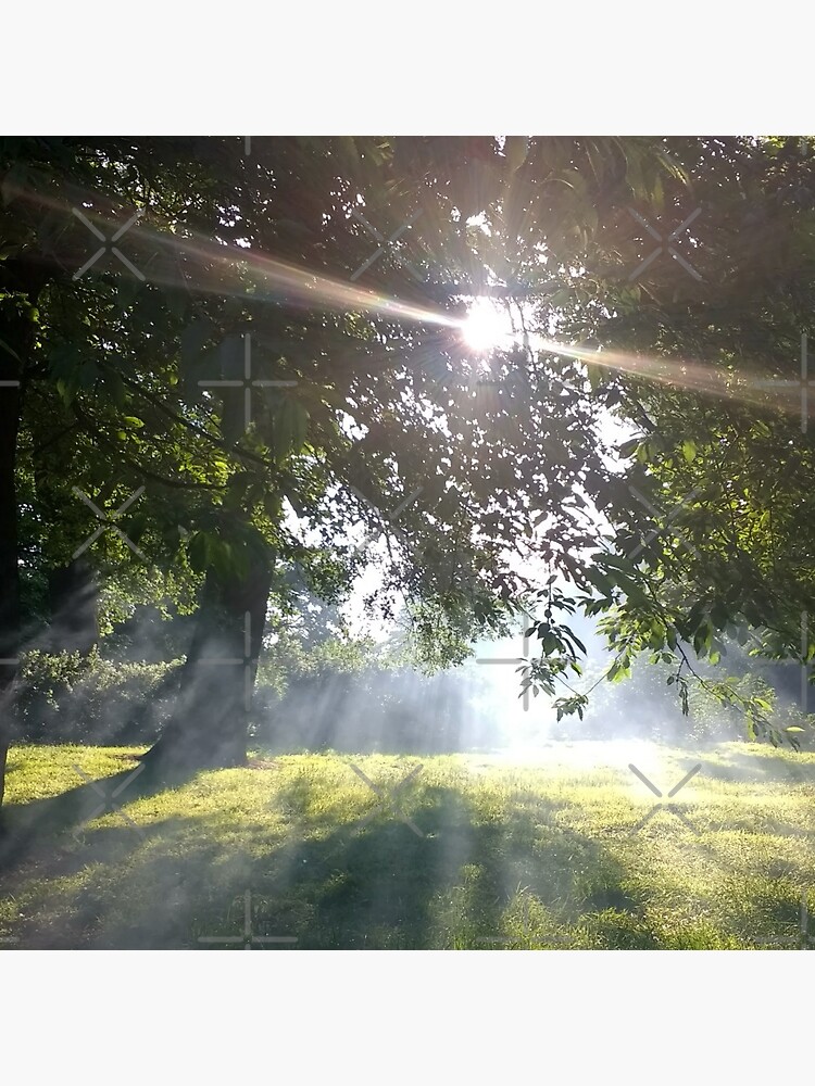 Merch #12 -- Smoky Tree Sun Rays - Portrait Shot (Pearson Park) by Naean
