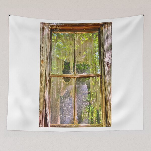 Item preview, Looking In Or Looking Out designed and sold by LisaWootenPhoto.