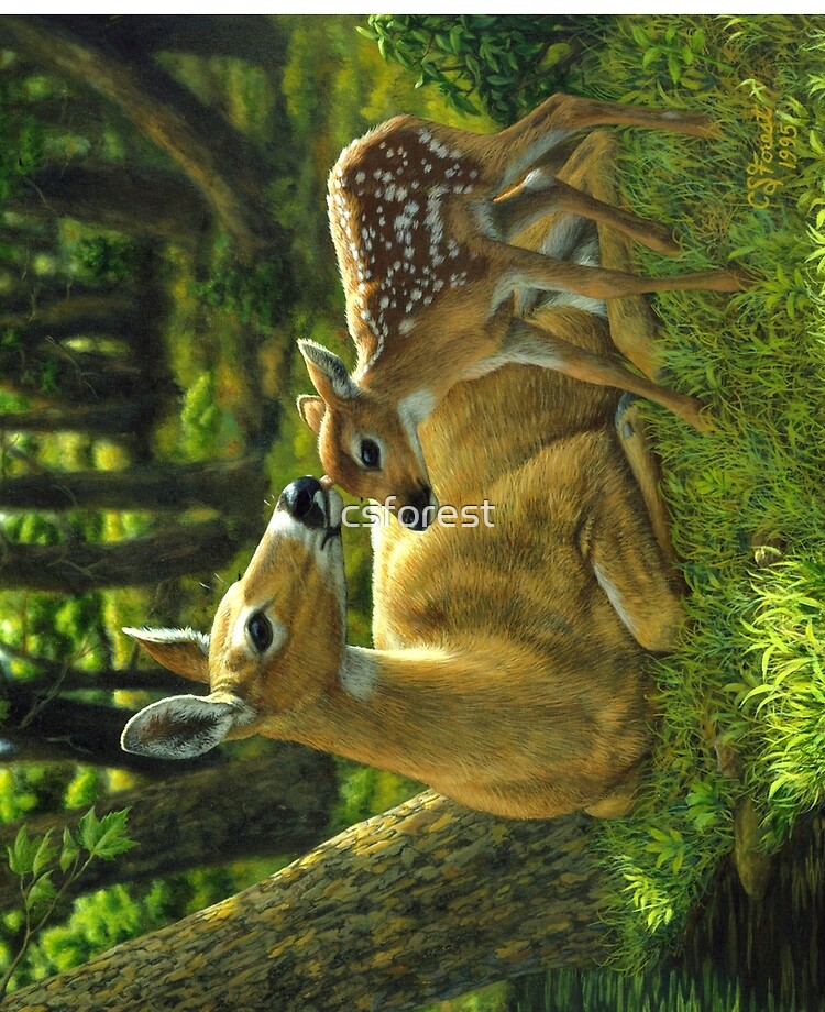deer painting