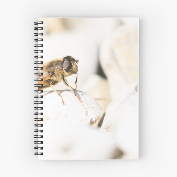 Item preview, Hoverfly designed and sold by LaurenTucker.