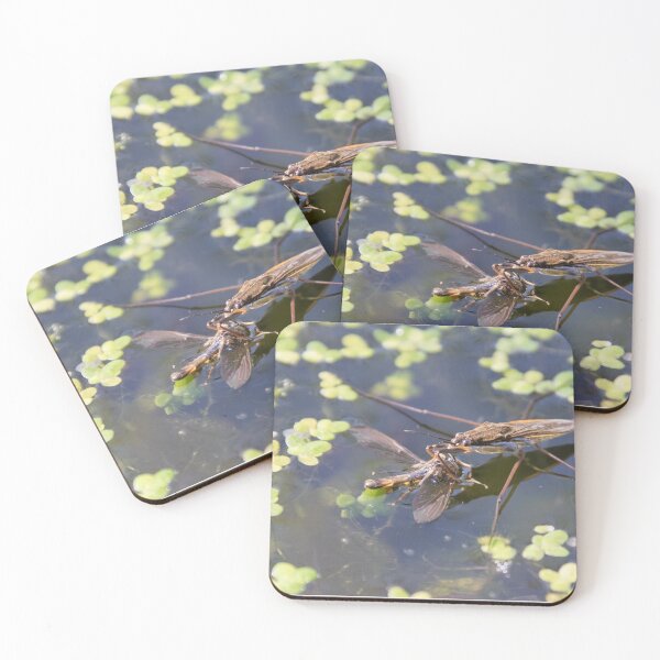 Item preview, Pond Skater designed and sold by LaurenTucker.