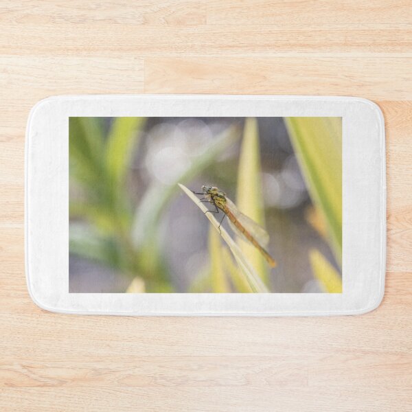 Item preview, Large Red Damselfly designed and sold by LaurenTucker.