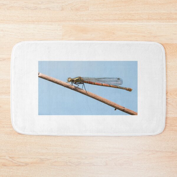 Item preview, Large Red Damselfly designed and sold by LaurenTucker.