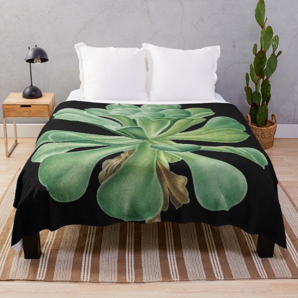 Item preview, Sempervivum Canarie Islands, Pierre-Joseph Redouté designed and sold by domdjs4239.