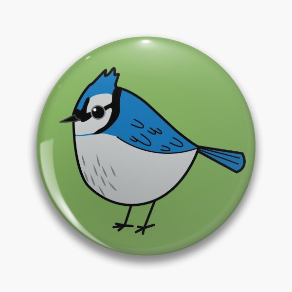 Pin on blue jay