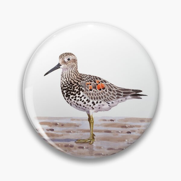Item preview, Great Knot watercolour designed and sold by kokayart.