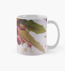 Crabapples Mug