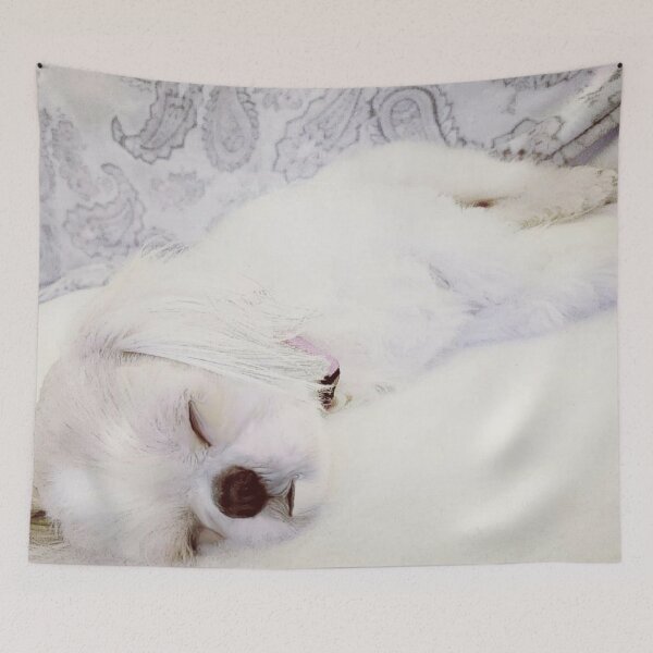Item preview, My momma says I'm the bestest sleeper! designed and sold by Frostyjenson.