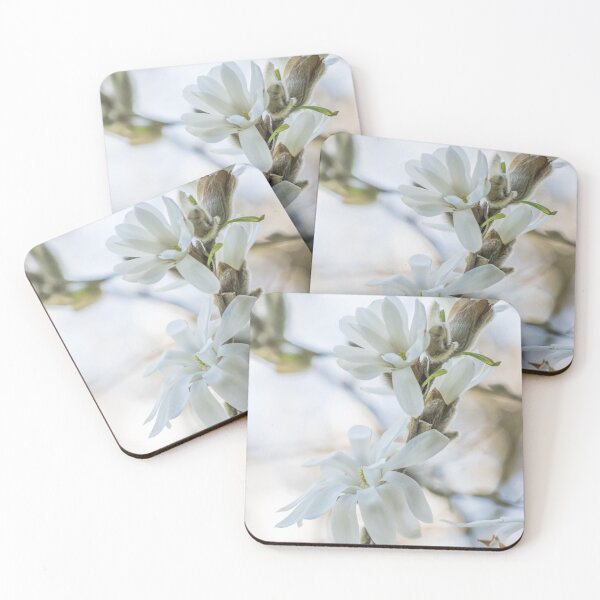 Item preview, Exquisite Spring Gift     Magnolia Blossom designed and sold by nancyjcreates.