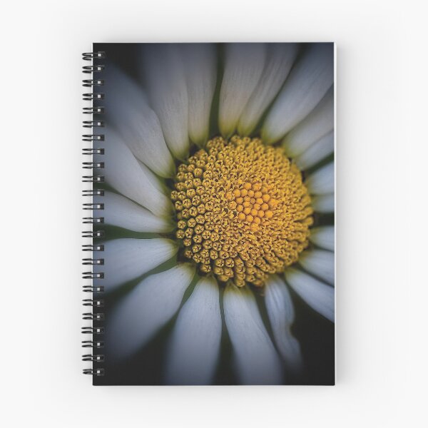 Item preview, Daisy designed and sold by Roberto Pagani.