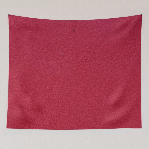 Item preview, ant on red designed and sold by TalBright.