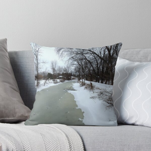 Item preview, Frozen perspective, Ohio and Erie Canal. designed and sold by Billlee.