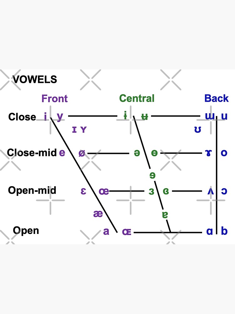 "Vowel Quadrilateral" Canvas Print by Bododobird Redbubble