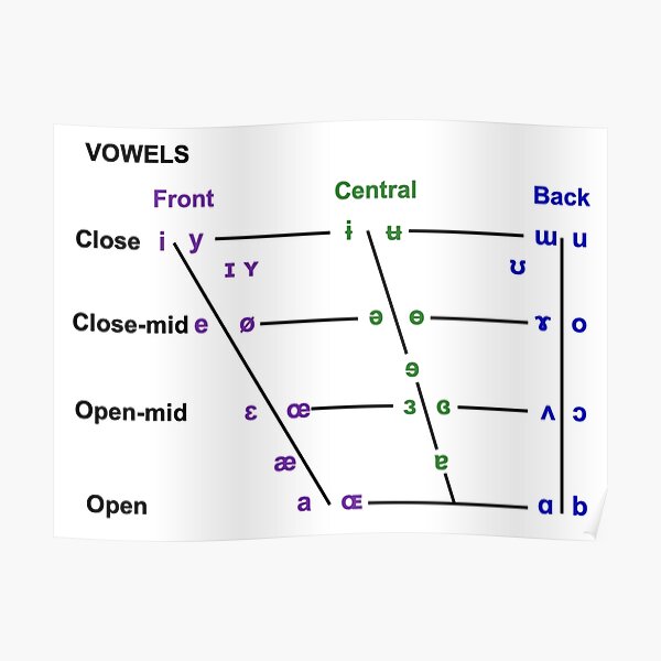 Vowel Quadrilateral Poster