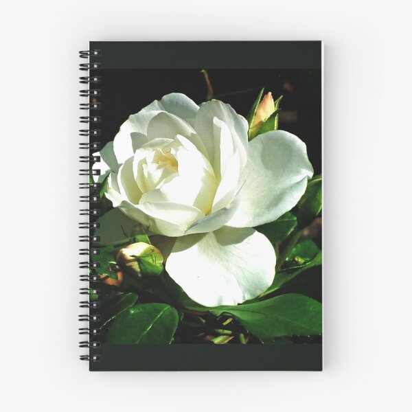 Item preview, Pale Beauty.... designed and sold by lynn carter.