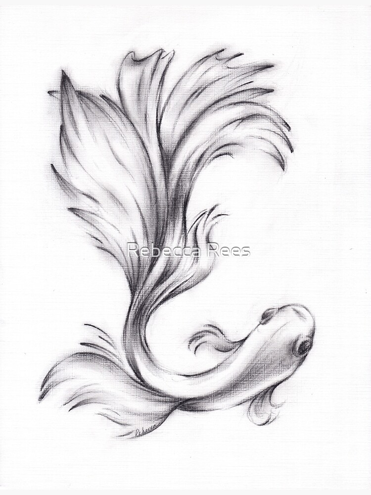 Siamese fighting fish Drawing, betta, white, marine Mammal png | PNGEgg