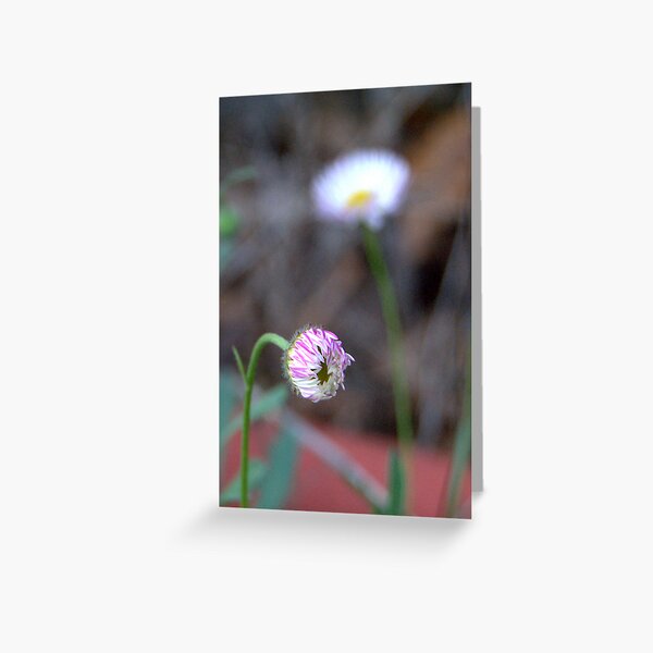Awaken Greeting Card