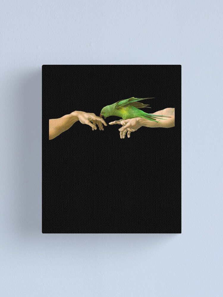 ringneck alexandrine parakeet