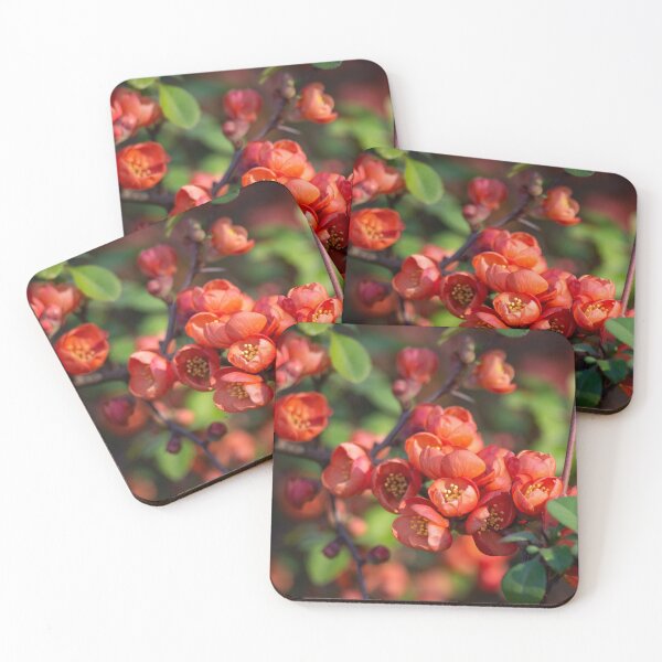 Item preview, Spring Blossom designed and sold by Kasia Design.