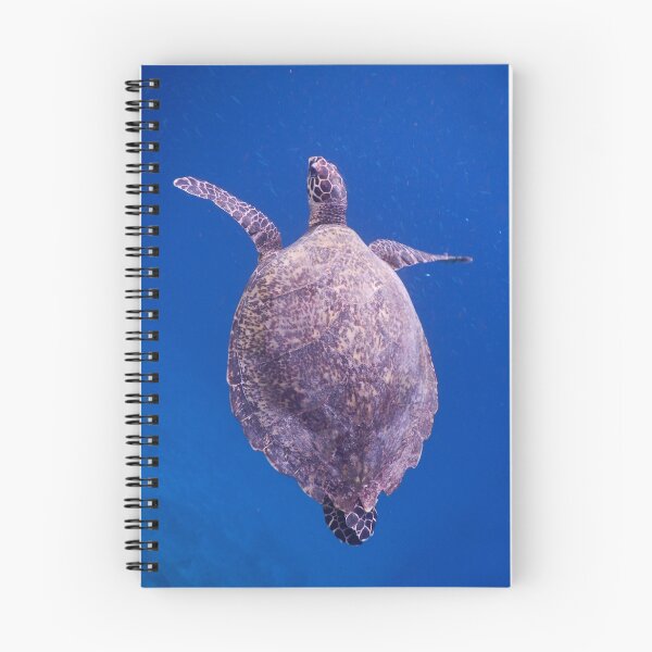 Item preview, Hawksbill Turtle in Lombok, Indonesia designed and sold by Michael Brewer.
