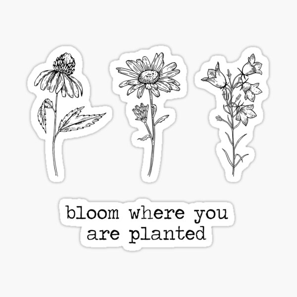 Bloom Where You Are Planted Floral Sticker