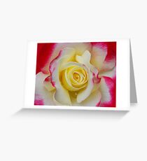Macro Rose Greeting Card