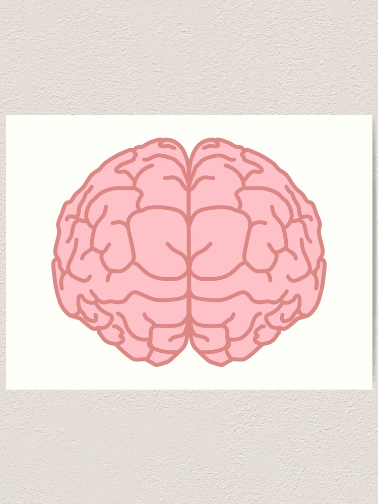 Brain 178. Головной мозг арт картинки. Brain cartoon. Артишок мозг арт. Big Brain cartoon.