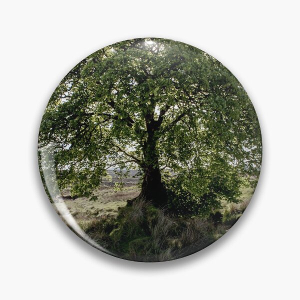Item preview, Sally Gap Tree designed and sold by Shay Murphy.