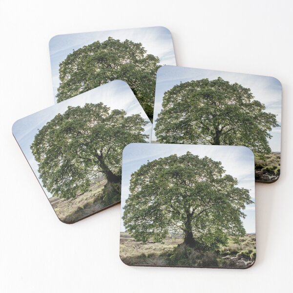 Item preview, Sally Gap Tree designed and sold by Shay Murphy.
