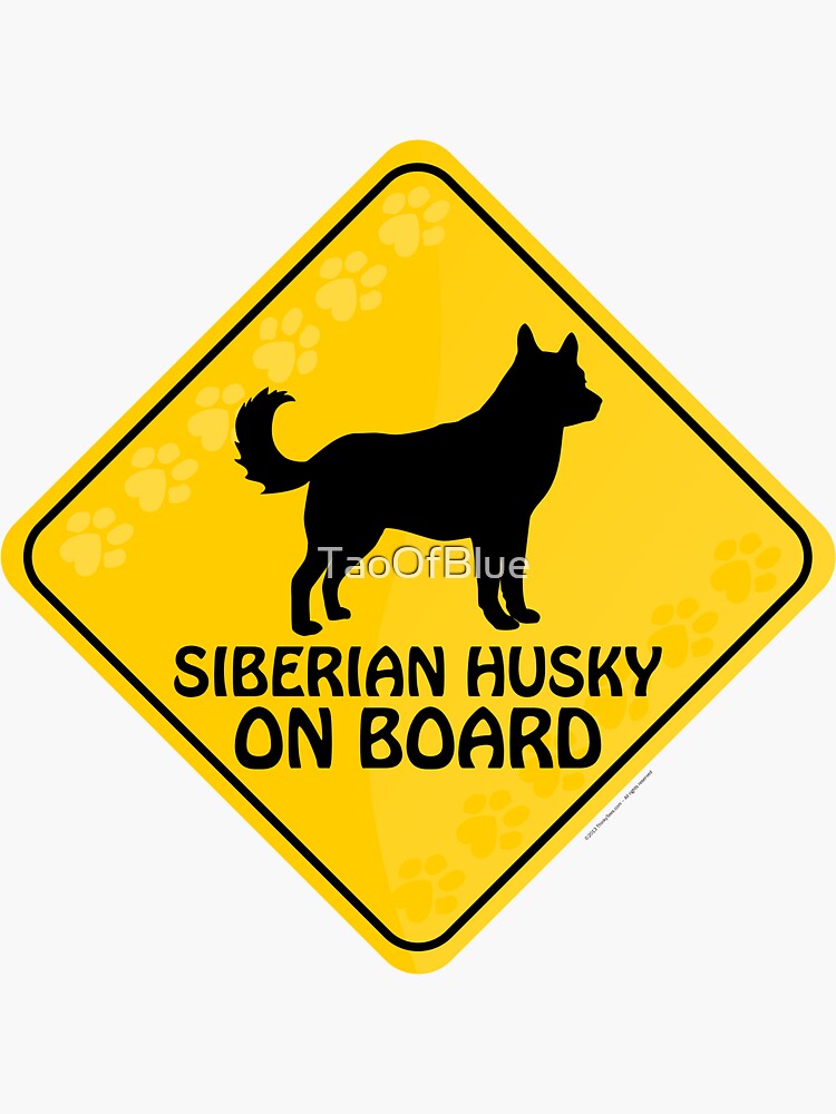 Siberian Husky On Board by TaoOfBlue