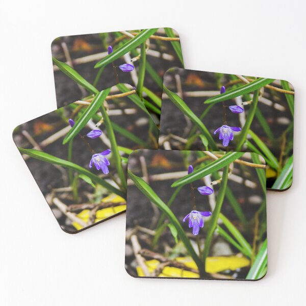 Item preview, Hidden Blue Gems designed and sold by SRosuphotos.