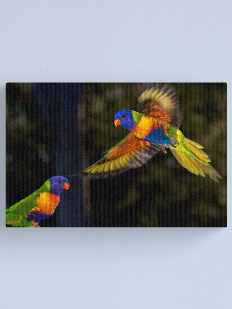 Alternate view of Rainbow Lorikeet Canvas Print