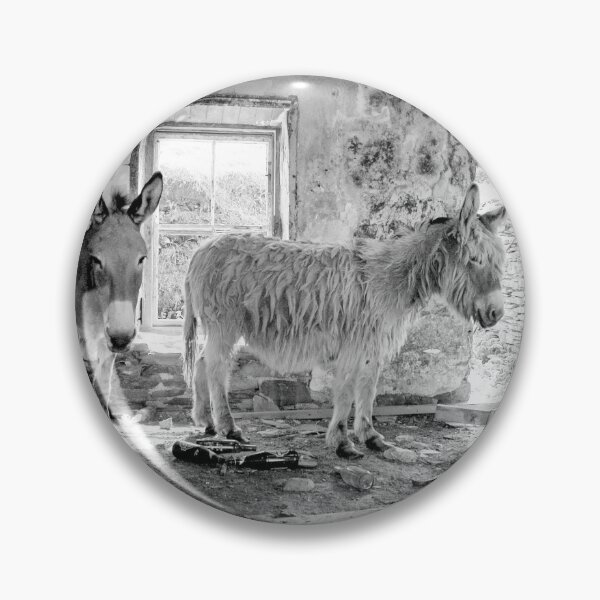 Item preview, Donkeys of Blasket designed and sold by Shay Murphy.