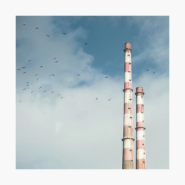 Pigeon House Photographic Print