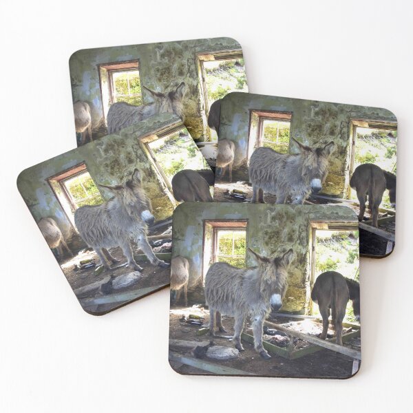 Item preview, Donkeys of Blasket Island designed and sold by Shay Murphy.