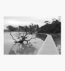 Merimbula Board Walk Photographic Print