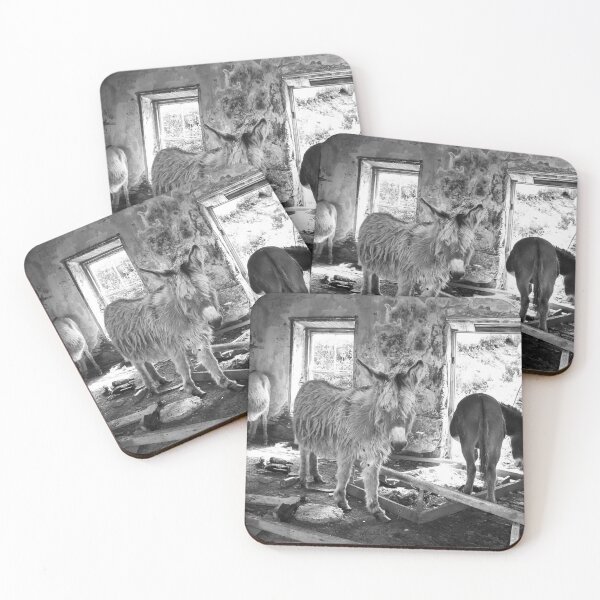 Item preview, Wild Irish Donkeys designed and sold by Shay Murphy.