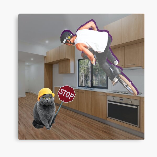 Cat Says: Stop BMX biking in the Kitchen! Metal Print