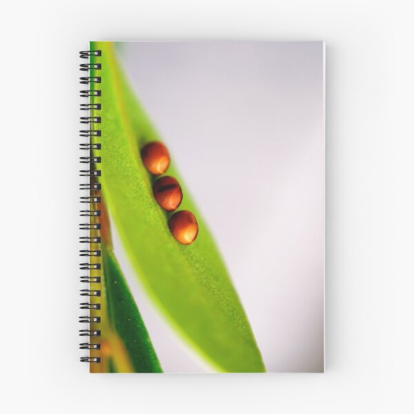 Item preview, Like Peas In a Pod designed and sold by YingDude.