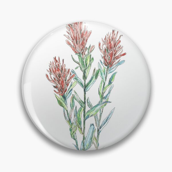 Item preview, Indian paintbrush wild flowers designed and sold by Shininglight14.