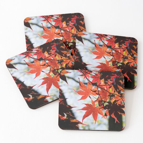 Item preview, Red Maple leaves glowing in the sunlight designed and sold by Stretch Clendennen.