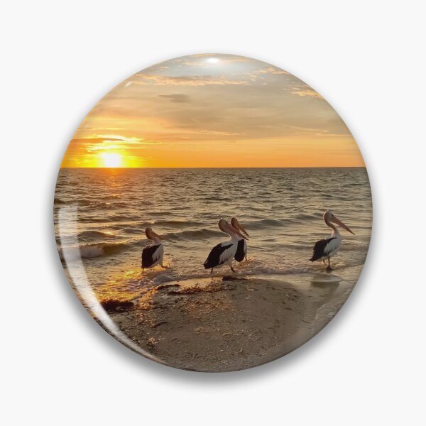 Item preview, Black Point Pelicans designed and sold by susiereynolds66.