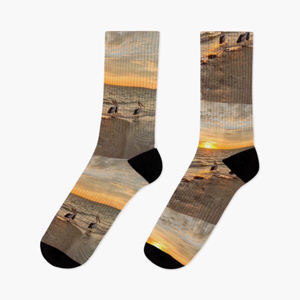 Item preview, Black Point Pelicans designed and sold by susiereynolds66.
