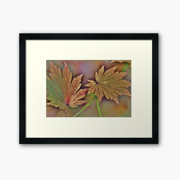 Green leaf Framed Art Print