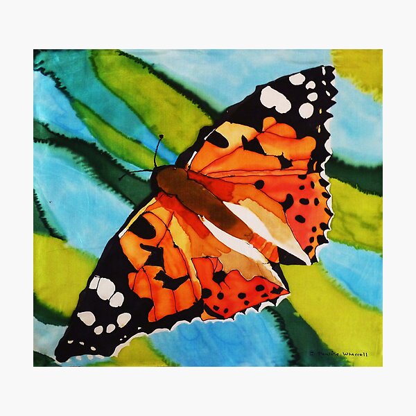 Painted lady butterfly on silk Photographic Print