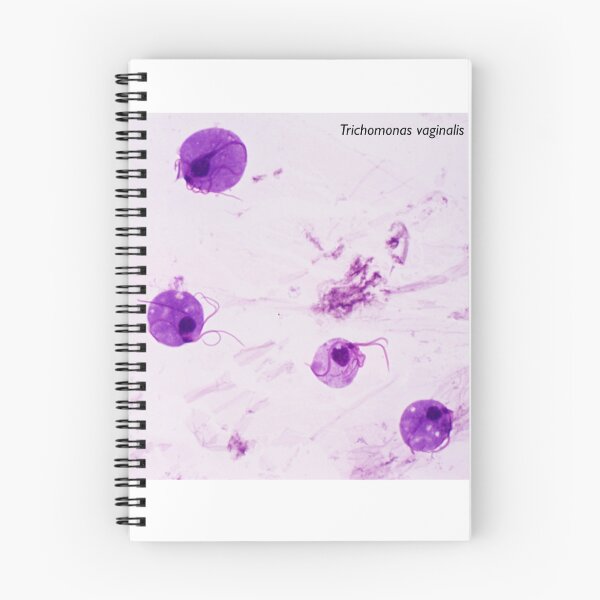 Item preview, Trichomonas vaginalis designed and sold by Bobbi Pritt.
