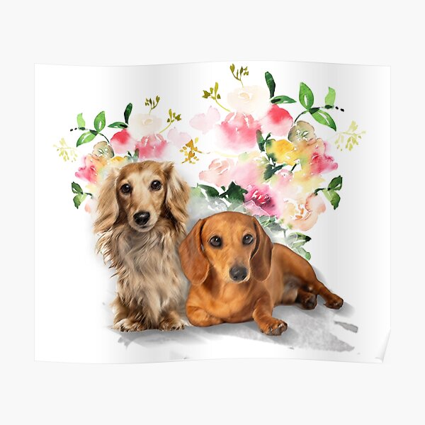 Posters Sur Le Theme Weenie Weenies Chien De Saucisse Teckel For Sale Redbubble