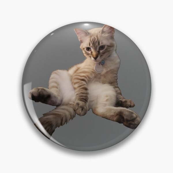Item preview, gatito sentado designed and sold by rollerchad.