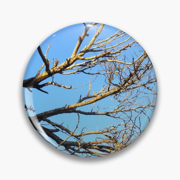 Item preview, CERNUNOS 1 branching tree branch sun blue sky winter nature designed and sold by dragonemma.