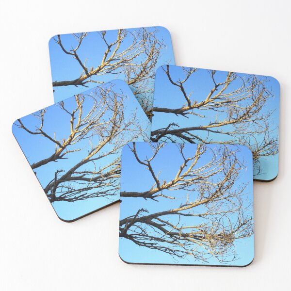 Item preview, CERNUNOS 1 branching tree branch sun blue sky winter nature designed and sold by dragonemma.